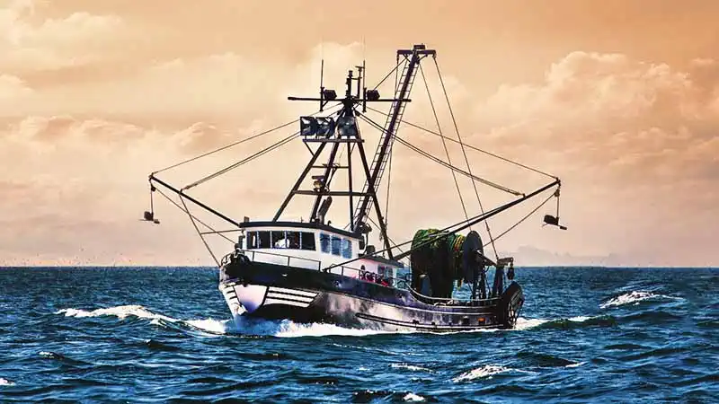ETNECA Fisheries