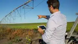 Satellite crop Monitoring