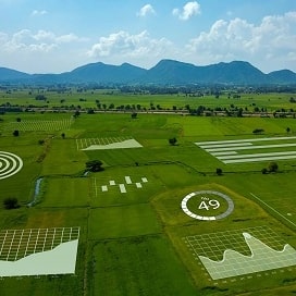 agriculture