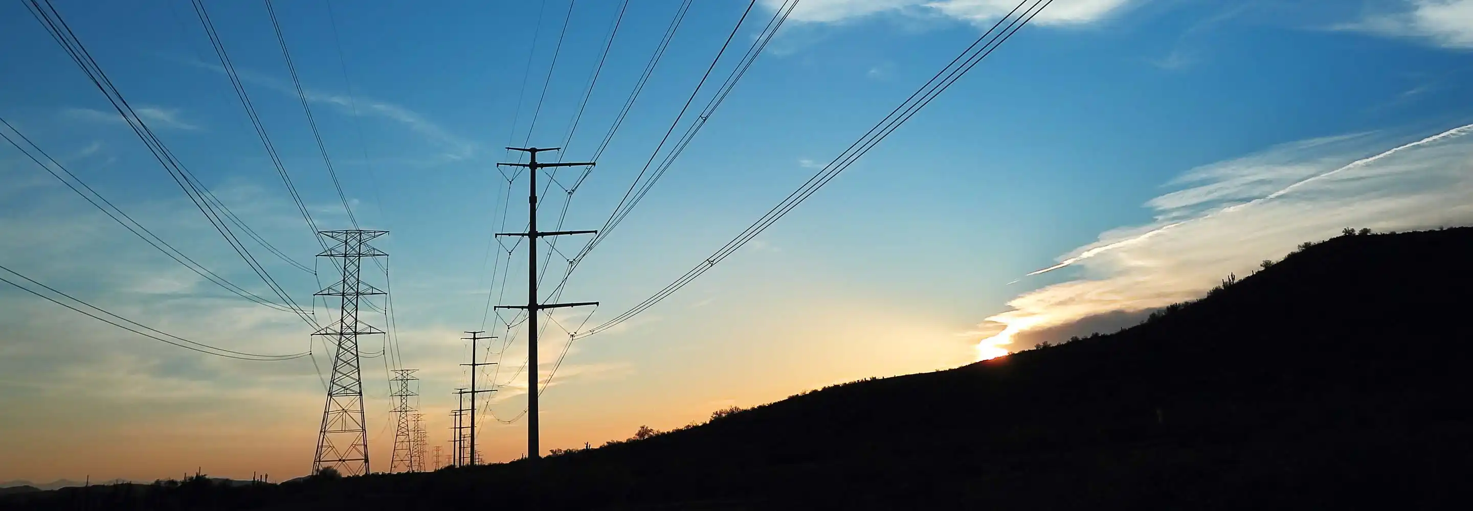 Smart grid management